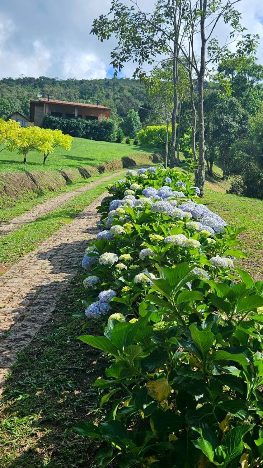 Vila Chales Boa Vista Gonçalves Exteriér fotografie